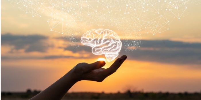 hand lifting digital image of brain Polyvagal Theory for trauma treatment