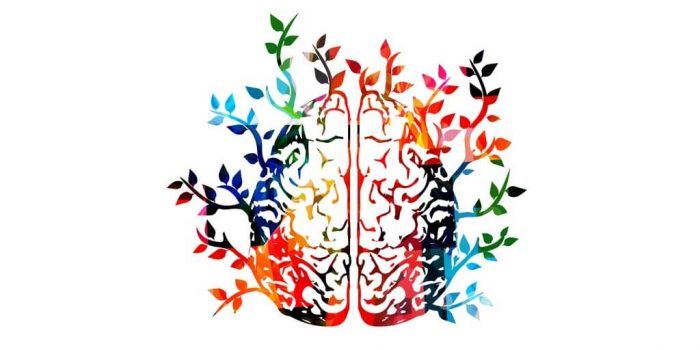 colourful image of brain with nature growing from it supporting indigence clients