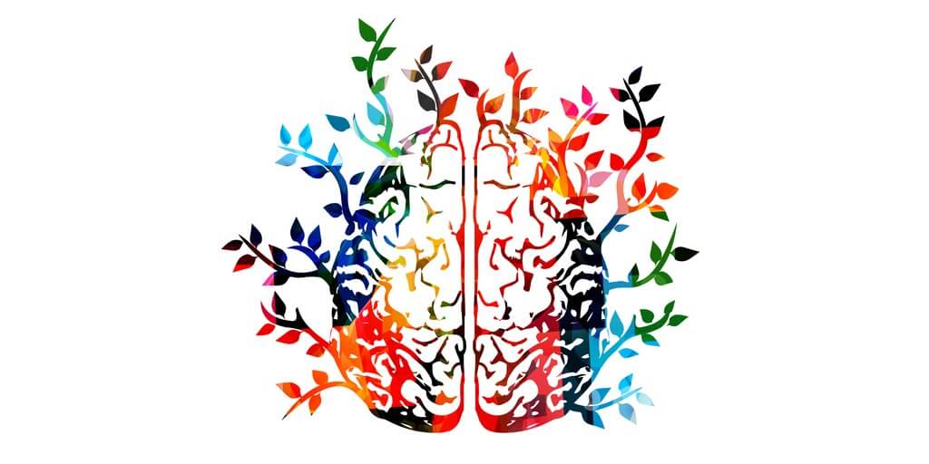 colourful image of brain with nature growing from it supporting indigence clients