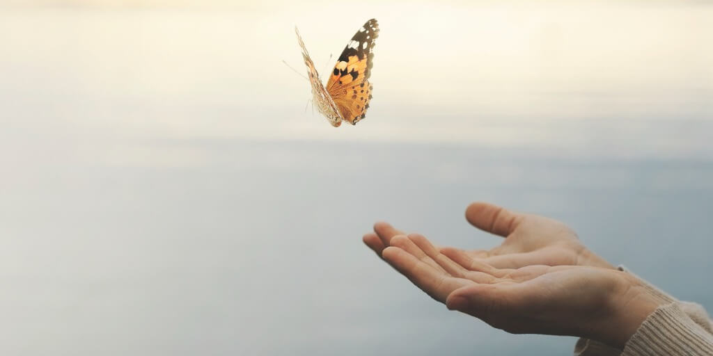 butterfly flying out of hands for preventing burn out with ACT