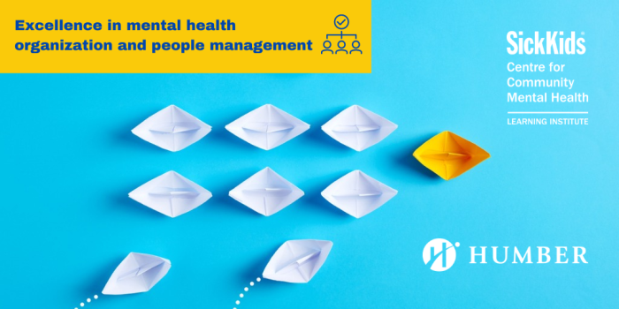 Excellence in mental health organization and people management