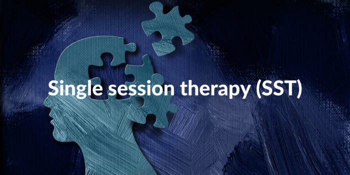 Evolving single session therapy: Re-conceptualizing the therapeutic process