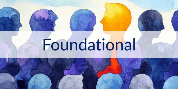 various blue profiles of people with one orange one for Introductory DBT training
