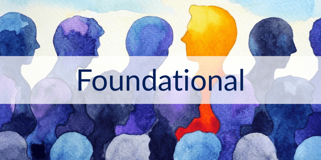 various blue profiles of people with one orange one for Introductory DBT training