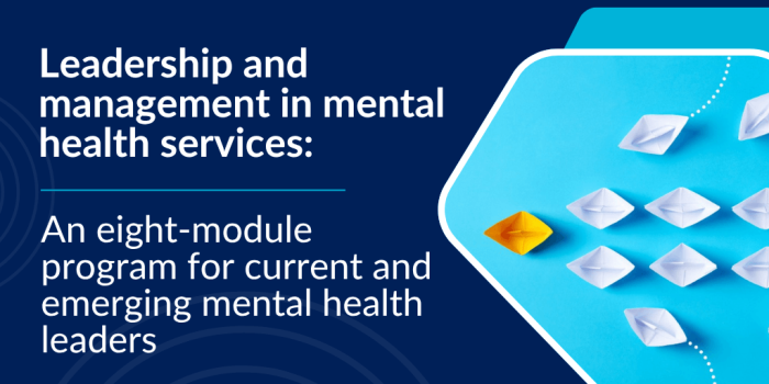 Leadership and management in mental health services certificate program illustration of white paper planes be lead by one yellow plane