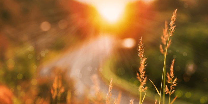 Sunrise over a road for a fresh look at personality disorders