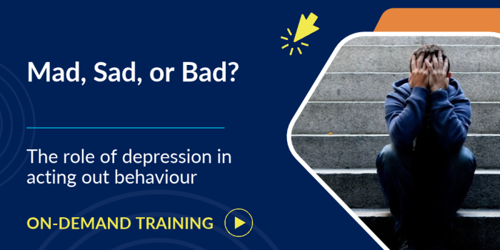 teenaged boy sitting alone with face in hands for role of depression in acting out behaviour