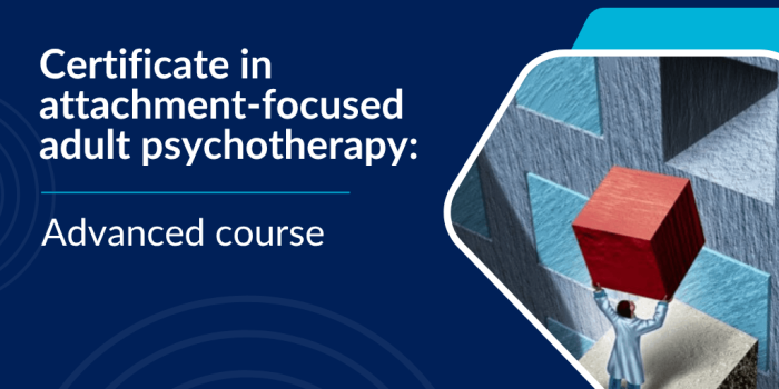 human head with blocks showing therapist shifting blocks for adult attachment - adult attachment-focused psychotherapy