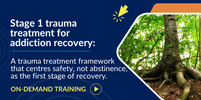 This Stage 1 trauma treatment for addiction recovery course provides practical, present-focused strategies to support safety, stabilization, and emotional regulation in clients who use substances.